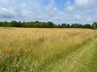 644 Browns Rd, Lafayette, TN 37083 - Image #2