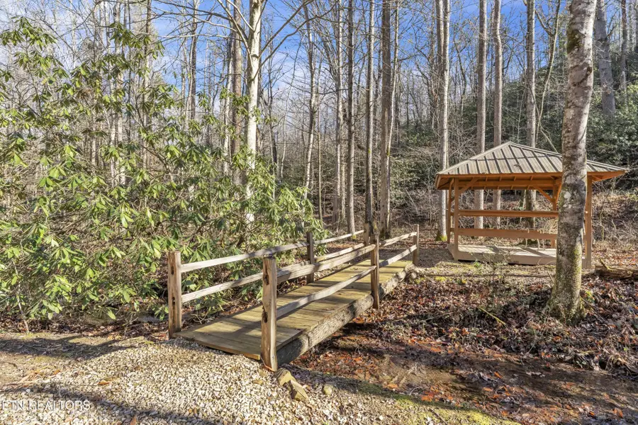 750 Caney Creek Rd, Cosby, TN 37722 - Image #3