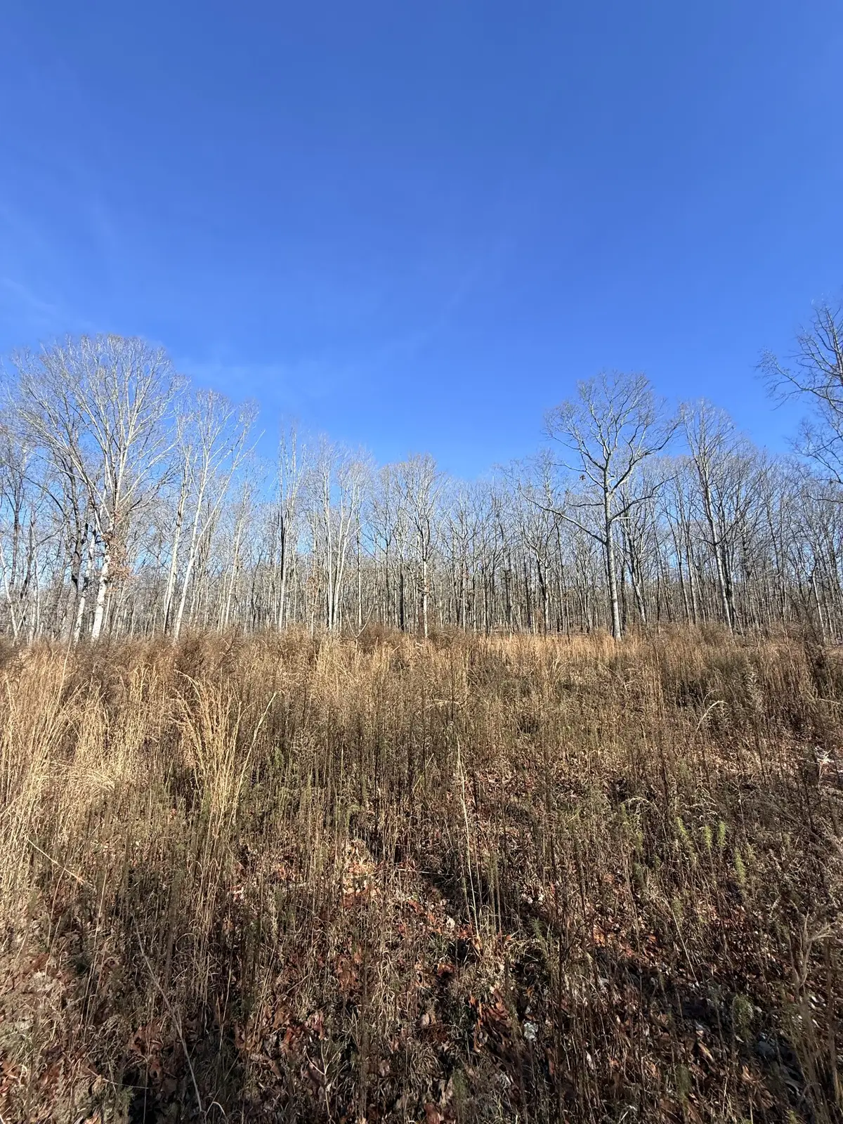 0 Deer Wood Drive, Sewanee, TN 37375 - Image #1