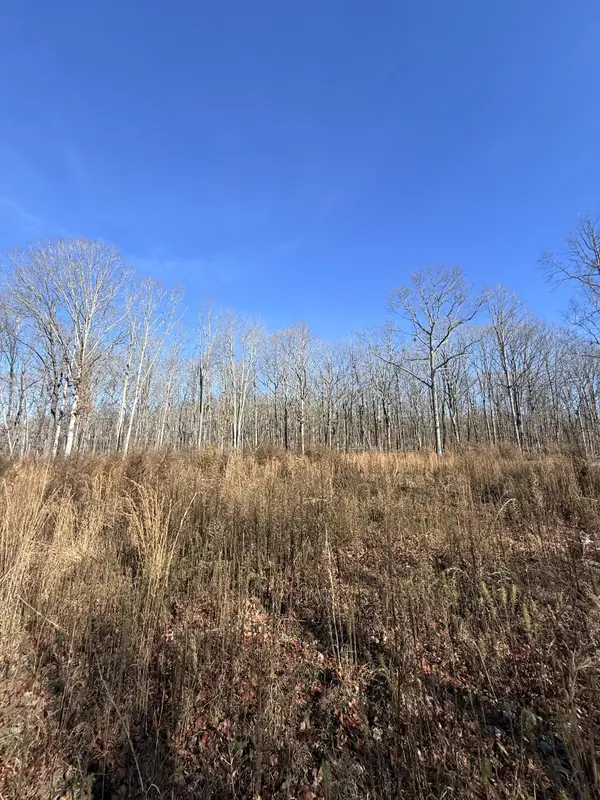 0 Deer Wood Drive, Sewanee, TN 37375