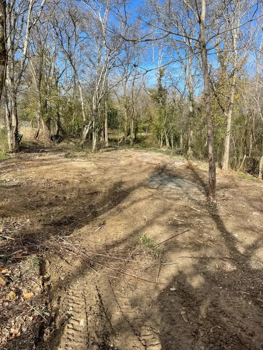 308 Hannah St, Bell Buckle, TN 37020 - Image #2