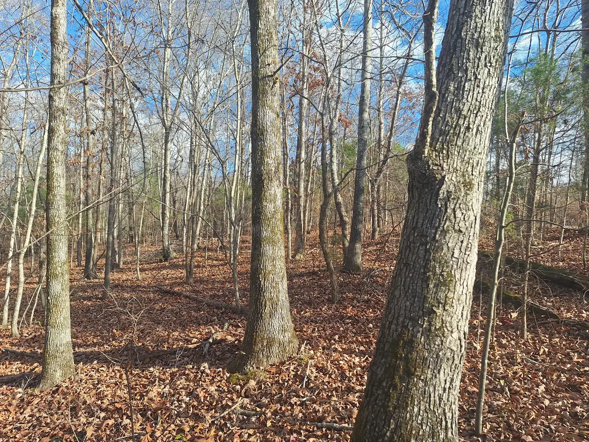 0 Circle G Drive, Lawrenceburg, TN 38464 - Image #1