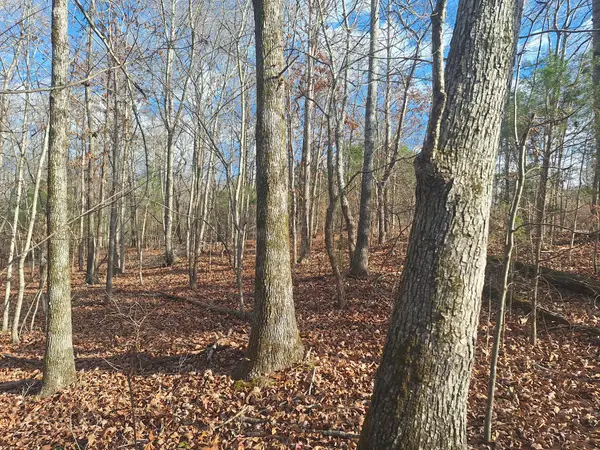 0 Circle G Drive, Lawrenceburg, TN 38464