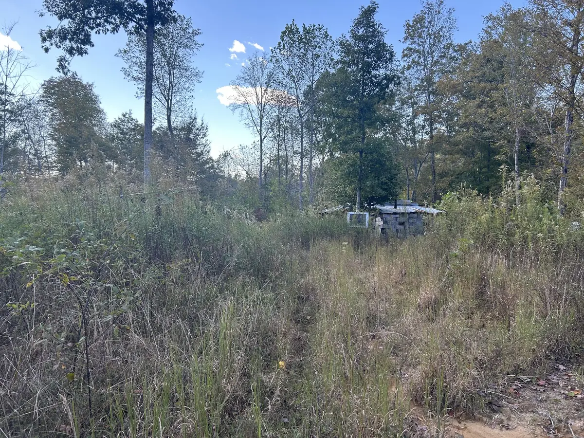 769 Preston Baggett Rd, Cumberland City, TN 37050 - Image #1