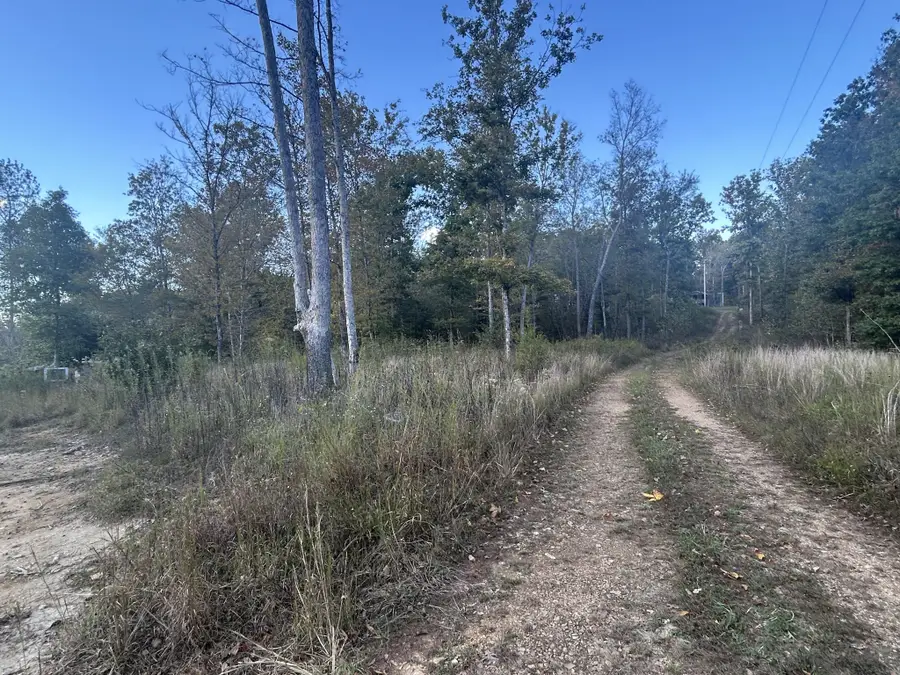 769 Preston Baggett Rd, Cumberland City, TN 37050 - Image #2