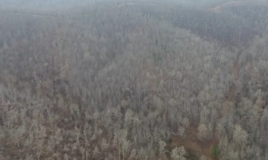 0 Rolling Hills Rd, Lobelville, TN 37097 - Image #3