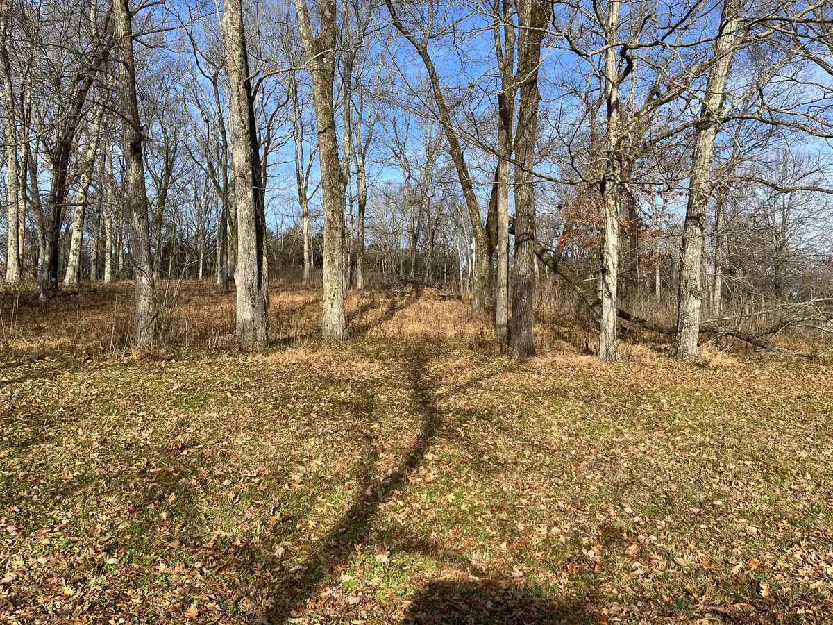 140 Crestwood Dr, Pulaski, TN 38478 - Image #1