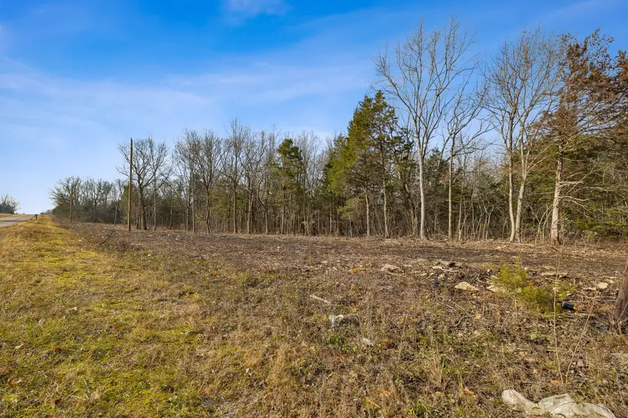 0 Morgan Rd, Rockvale, TN 37153 - Image #3