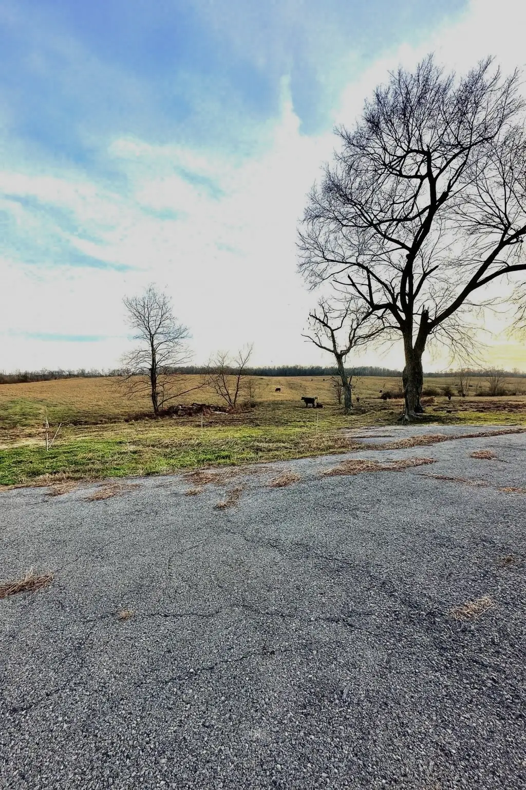 46 Caps Rd, Indian Mound, TN 37079 - Image #1