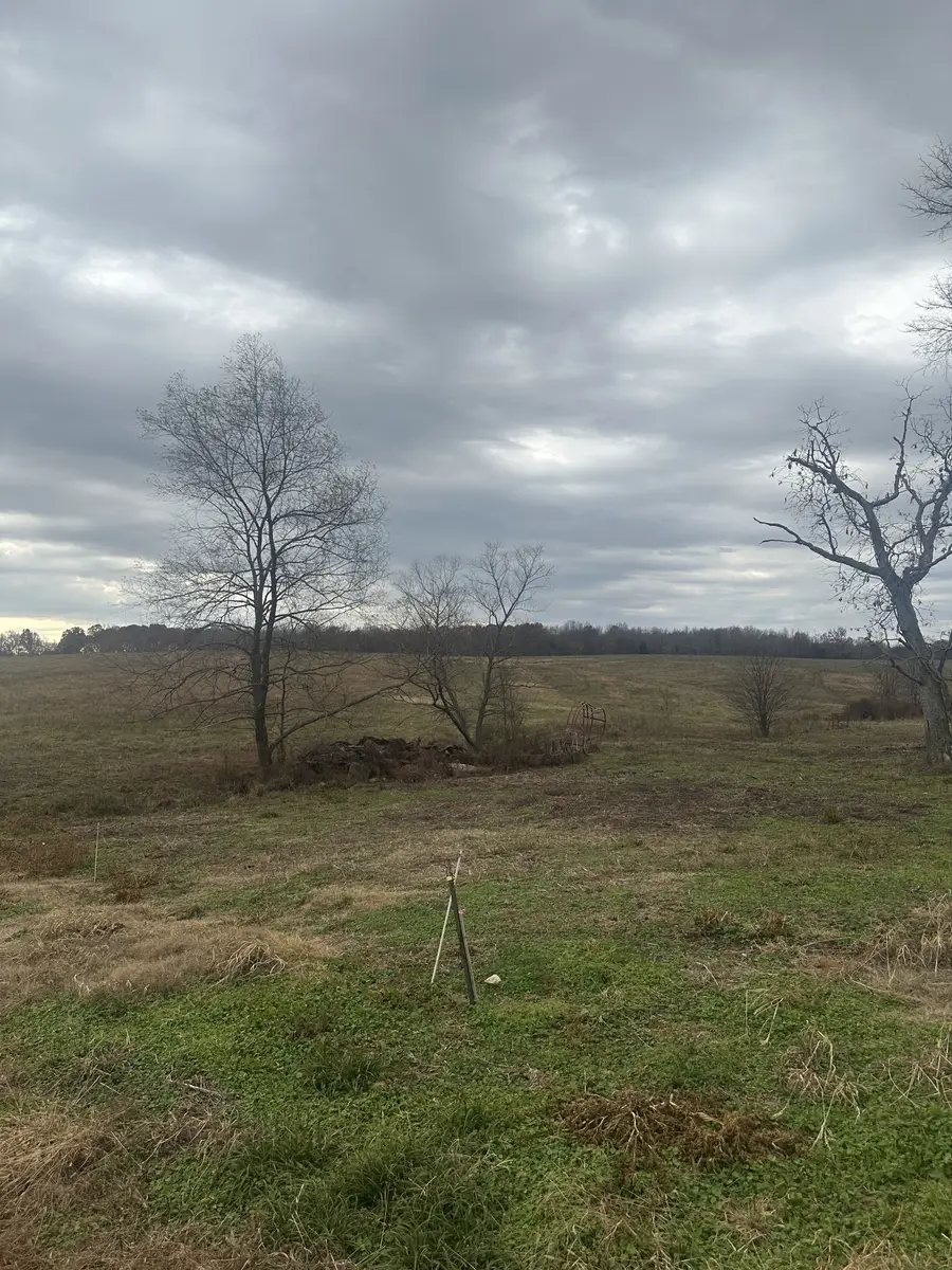 46 Caps Rd, Indian Mound, TN 37079 - Image #3