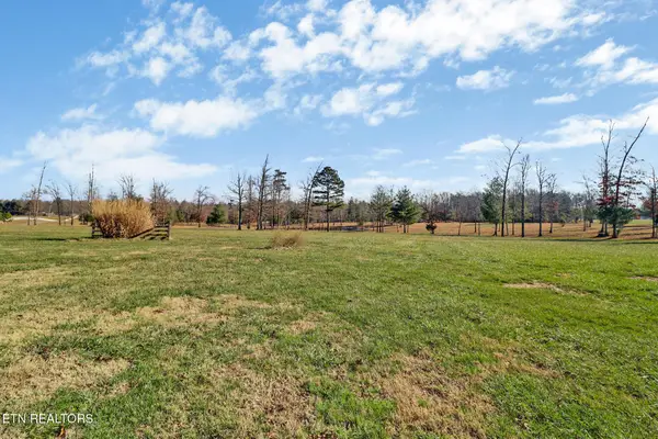 1241 Twin Bridge Rd, Deer Lodge, TN 37726