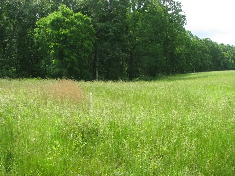 0 Barge Lane, Waverly, TN 37185 - Image #2