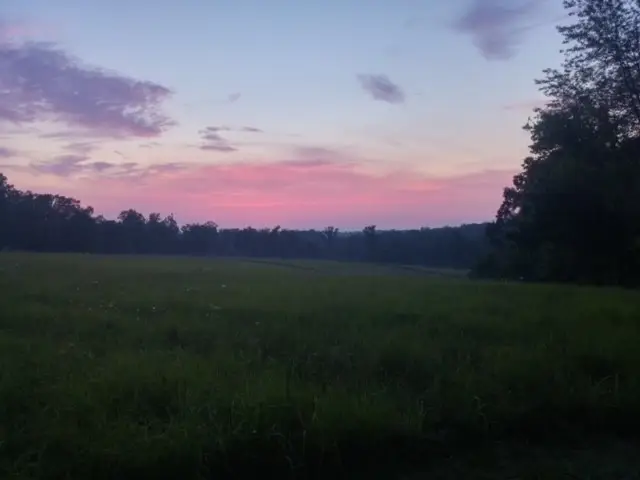 7838 Shoals Branch Rd, Primm Springs, TN 38476 - Image #2