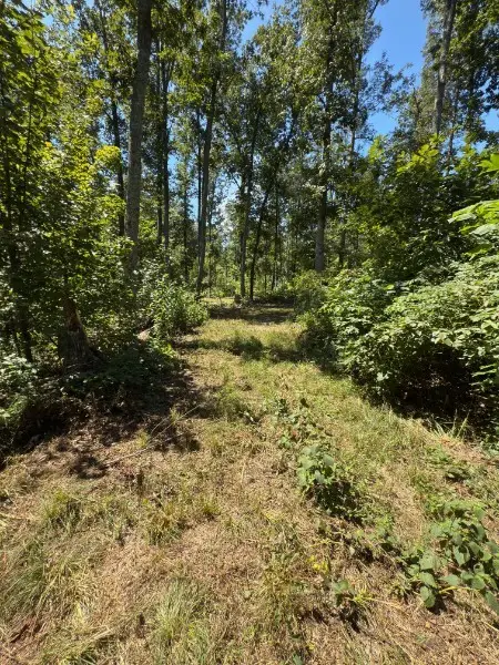 0 0 Paul Harrell Rd, Beechgrove, TN 37018 - Image #3