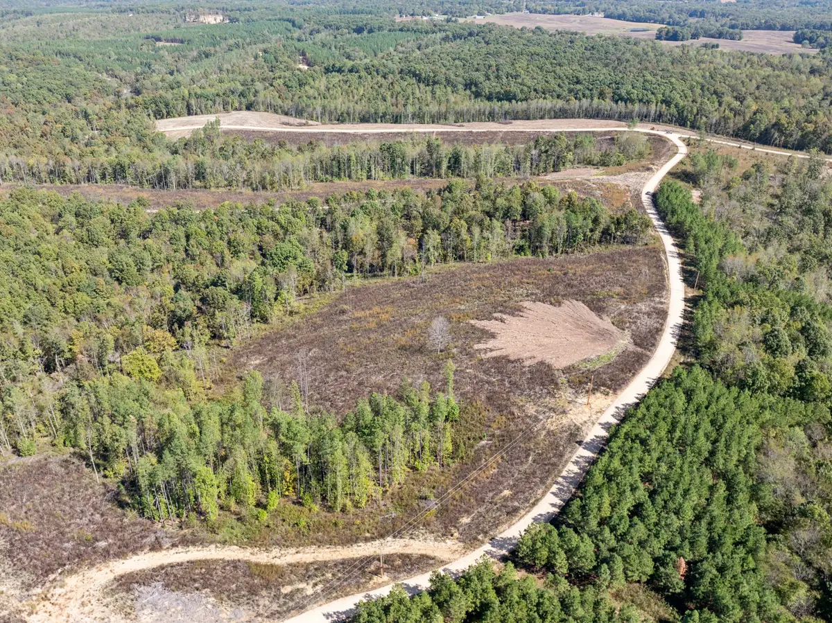 0 Cox Hollow, Dover, TN 37058 - Image #1