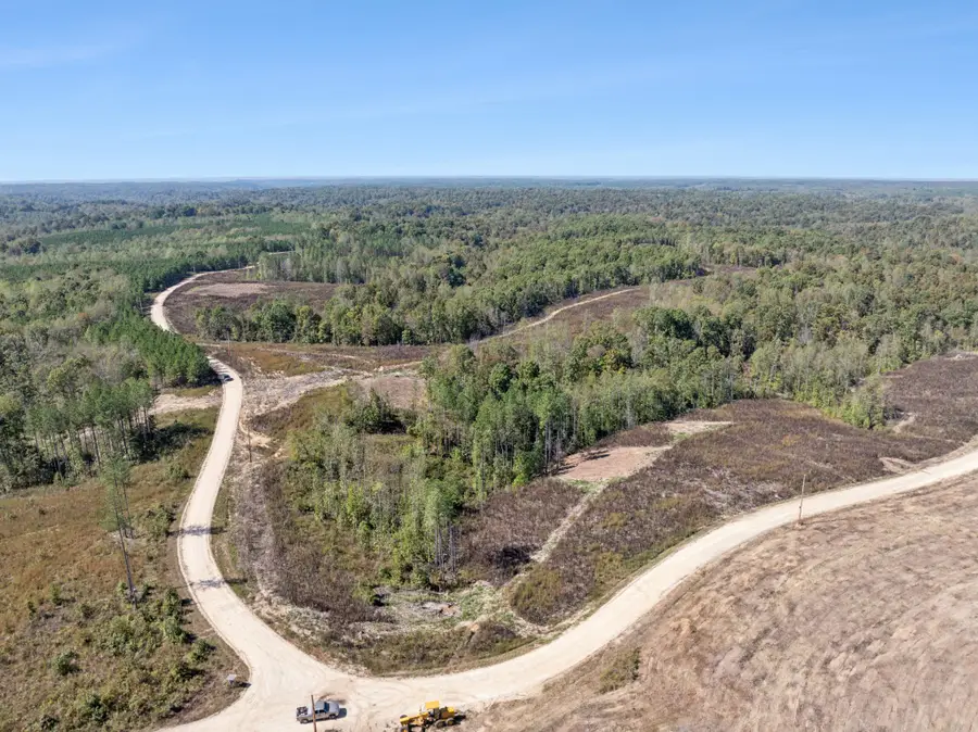 0 Cox Hollow, Dover, TN 37058 - Image #2