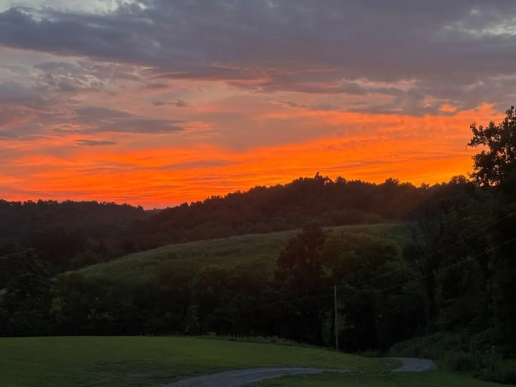 557 Ward Hollow Road, Shelbyville, TN 37160 - Image #1