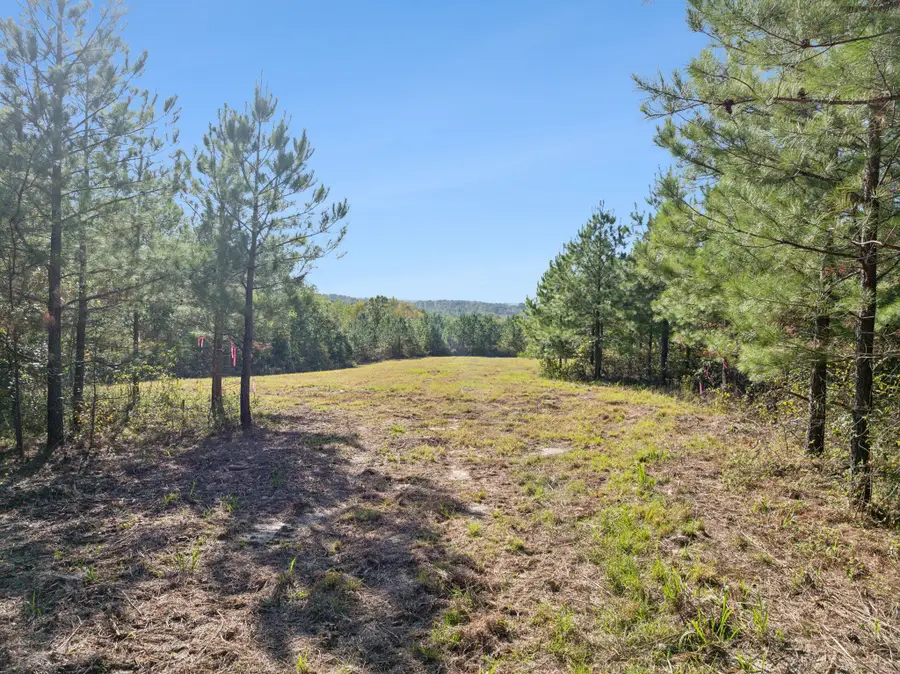 0 Cox Hollow, Dover, TN 37058 - Image #2