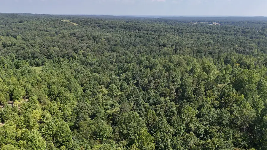 0 Freedom Ridge, Indian Mound, TN 37079 - Image #2