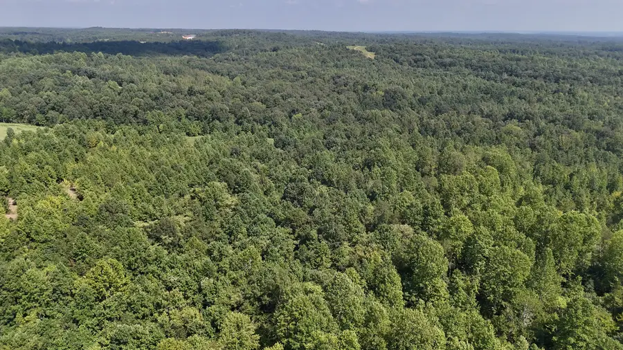 0 Freedom Ridge, Indian Mound, TN 37079 - Image #3