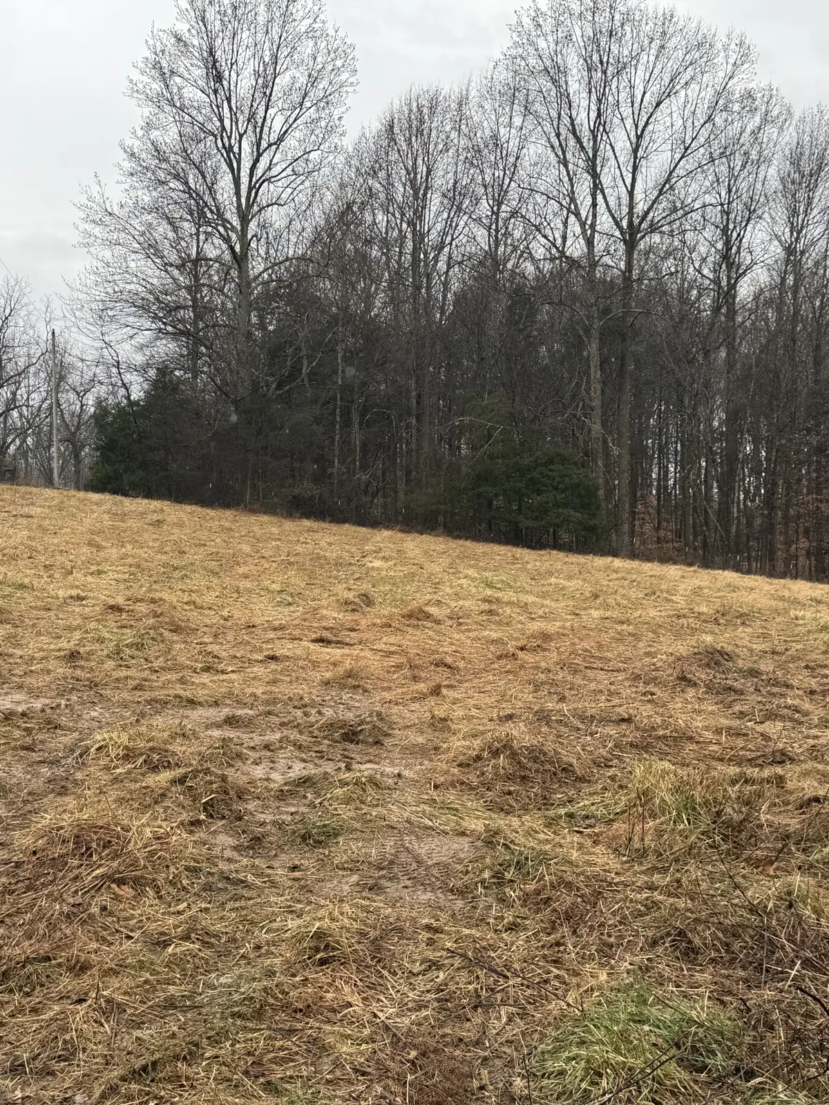 6 Jimtown Road, Lafayette, TN 37083 - Image #1