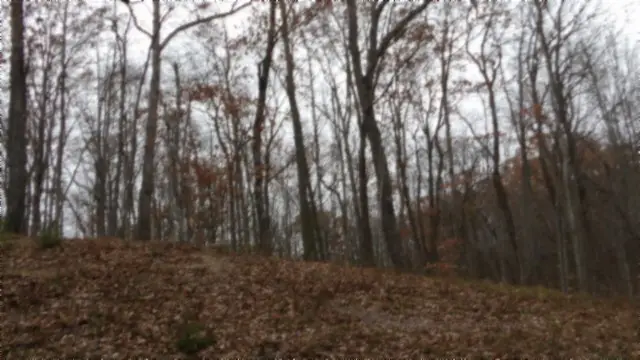 0 Cumberland Cove Rd, Monterey, TN 38574 - Image #2