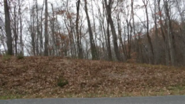 0 Cumberland Cove Rd, Monterey, TN 38574 - Image #3