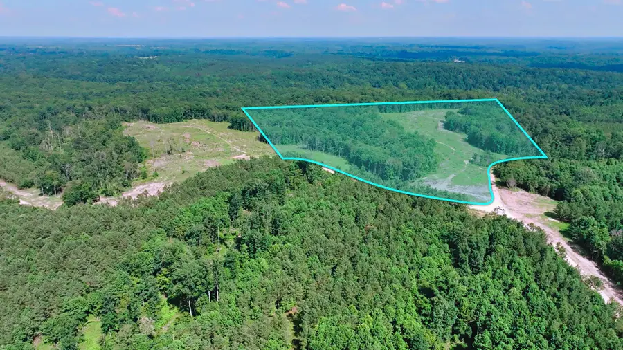 0 Cox Hollow, Dover, TN 37058 - Image #2