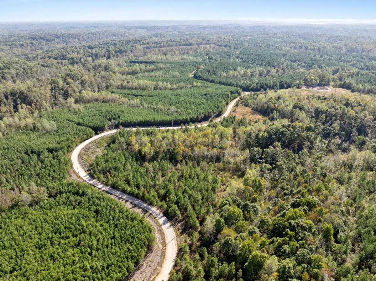 0 Cox Hollow, Dover, TN 37058 - Image #1