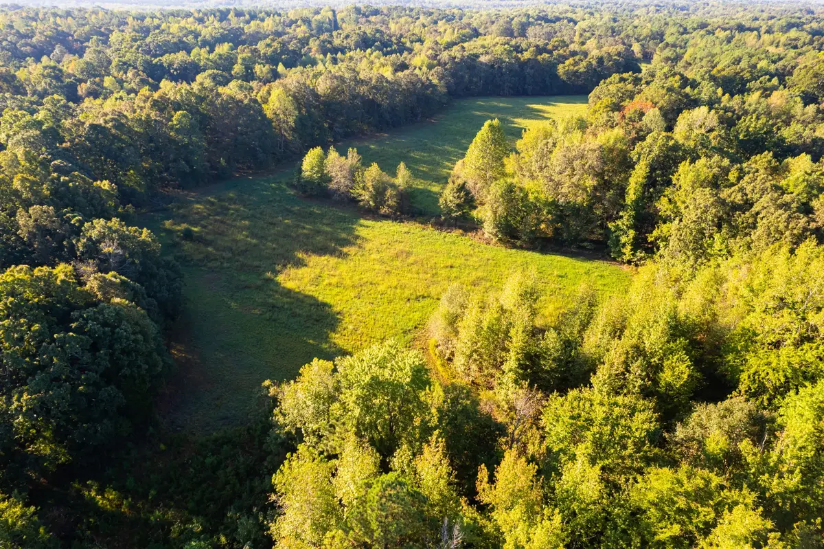 424 Tennessee Highway, Cedar Grove, TN 38321 - Image #1