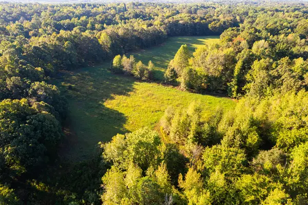 424 Tennessee Highway, Cedar Grove, TN 38321