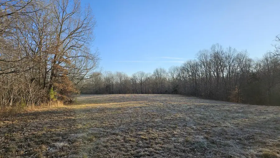 424 Tennessee Highway, Cedar Grove, TN 38321 - Image #3