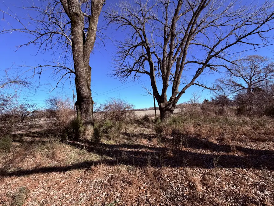 2645 Old State Route 76, Mc Kenzie, TN 38201 - Image #2