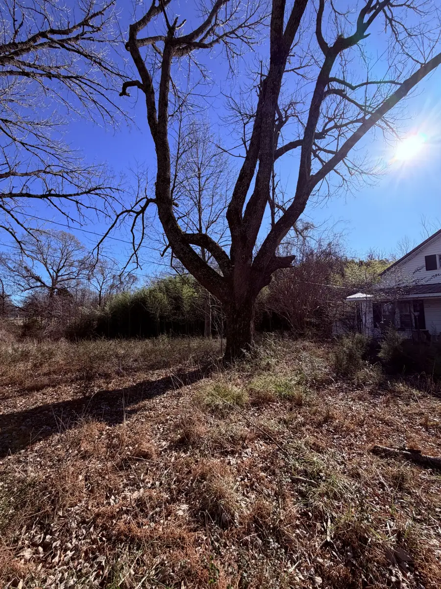 2645 Old State Route 76, Mc Kenzie, TN 38201 - Image #3