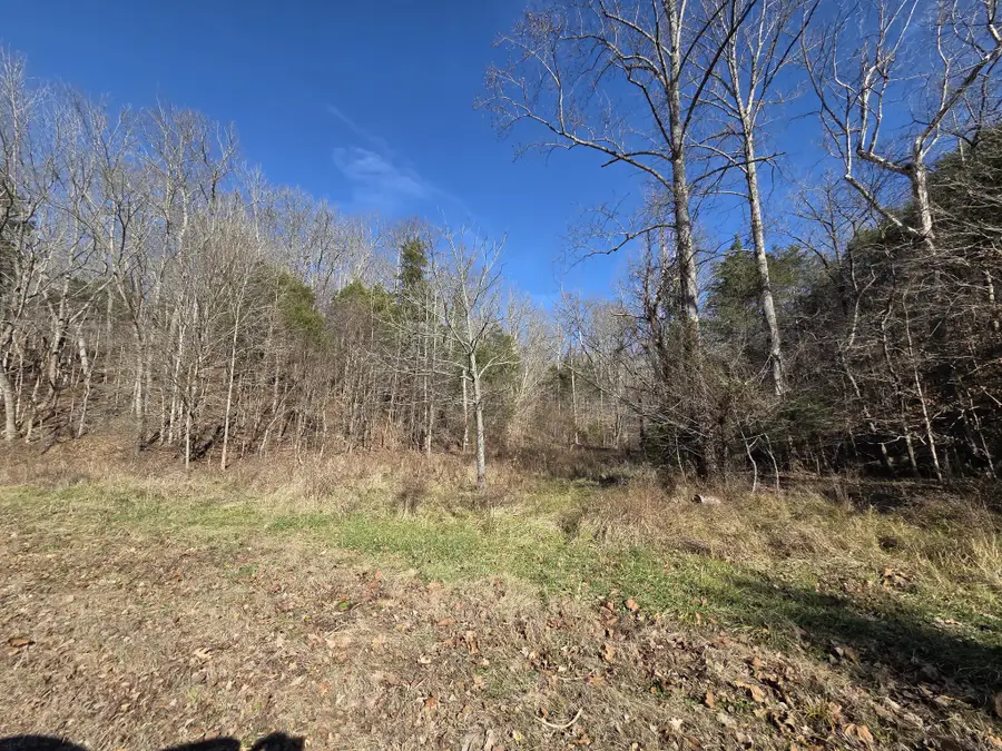 0 Upper Brush Creek Rd, Linden, TN 37096 - Image #3