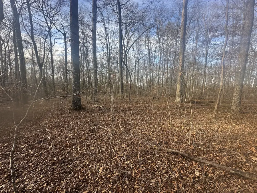 0 Arnold Thomas Rd, Silver Point, TN 38582 - Image #3