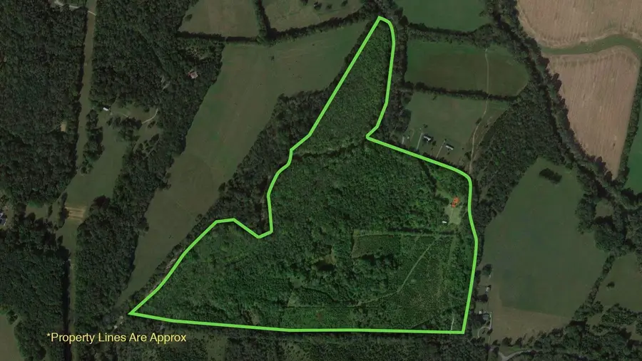 980 Baldy Ford Rd, Lascassas, TN 37085 - Image #3