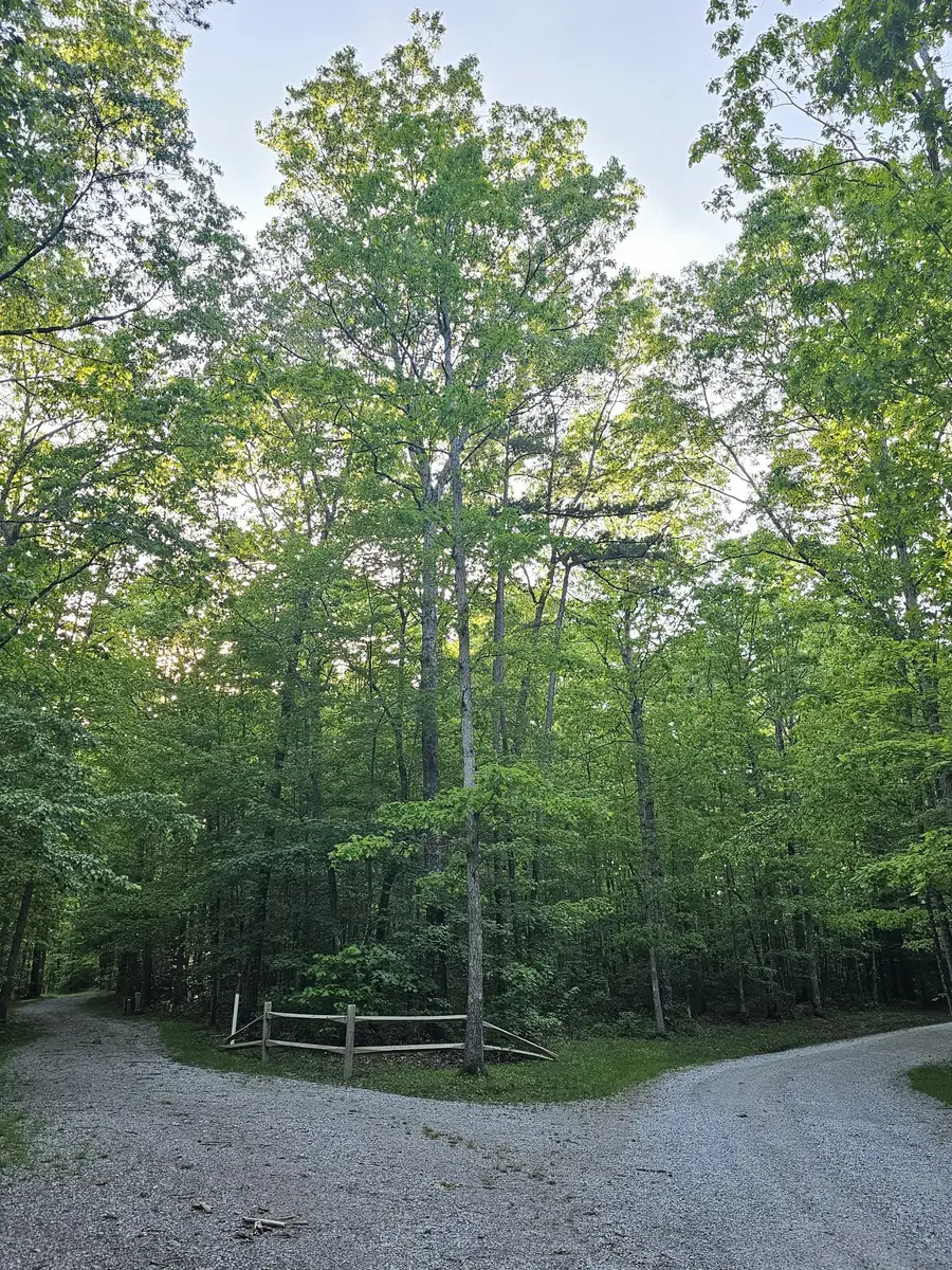 3 Savage Highland Drive, Coalmont, TN 37313 - Image #3