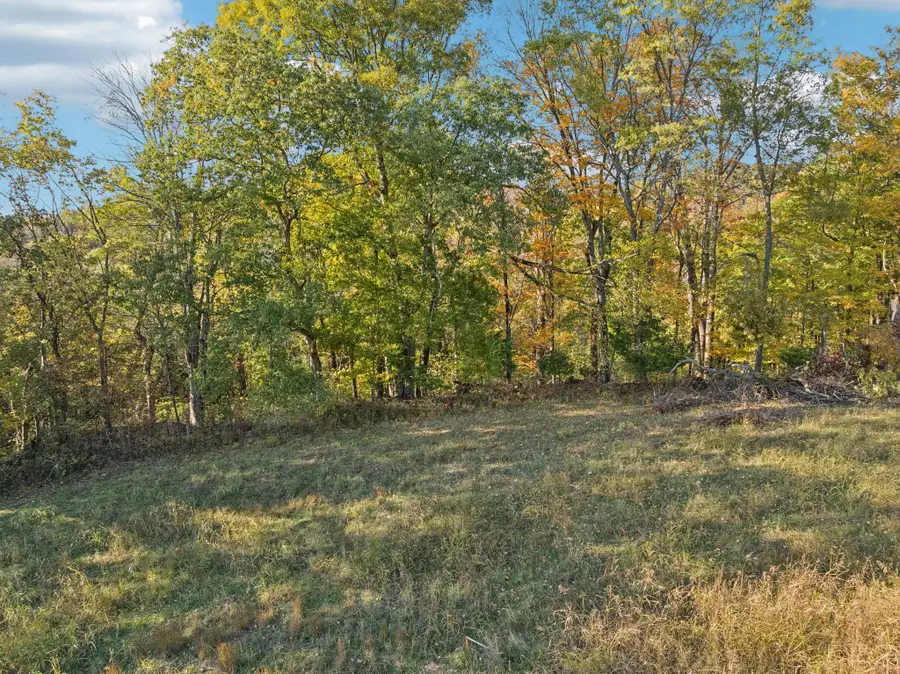 0 Wolf Hill Rd, Bethpage, TN 37022 - Image #3