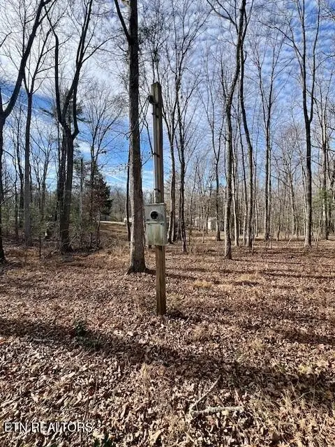 19 Royal Circle, Crossville, TN 38558 - Image #3