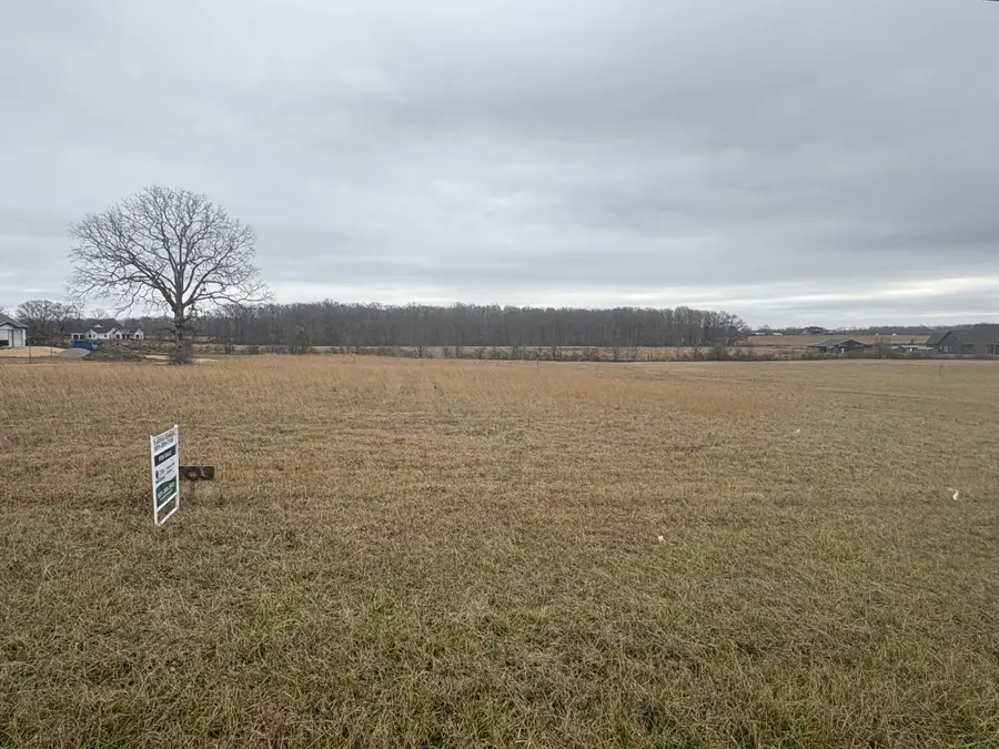 903 Buffalo Rd, Hohenwald, TN 38462 - Image #2