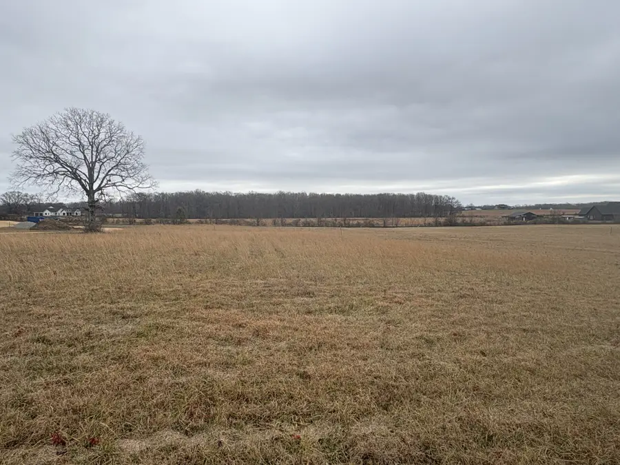 903 Buffalo Rd, Hohenwald, TN 38462 - Image #3