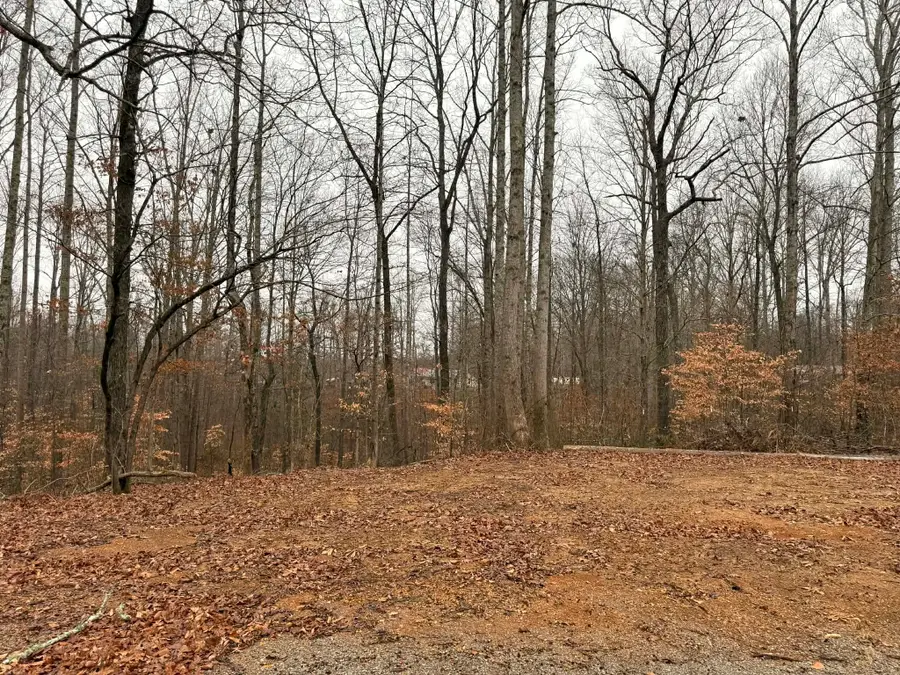 0 Periwinkle Path, Leoma, TN 38468 - Image #2
