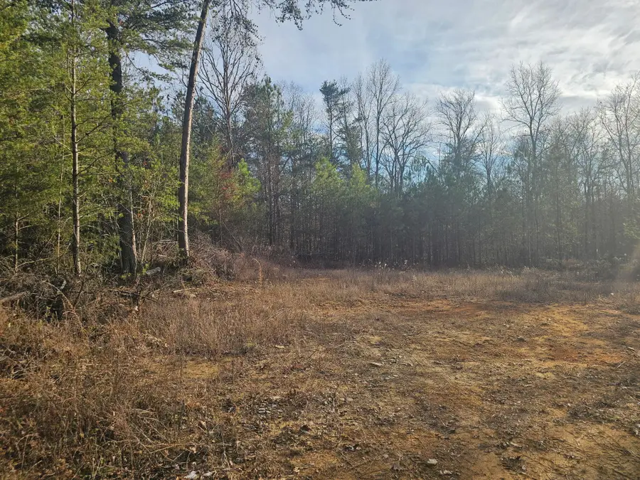 2900300 Smith Mountain, Dunlap, TN 37327 - Image #3