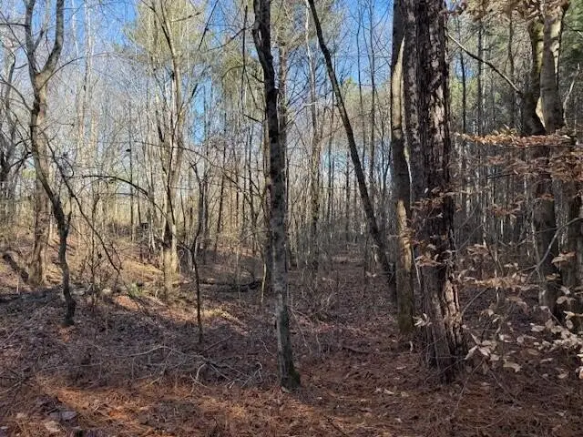 5 County Road 751, Valley Head, AL 35989 - #3