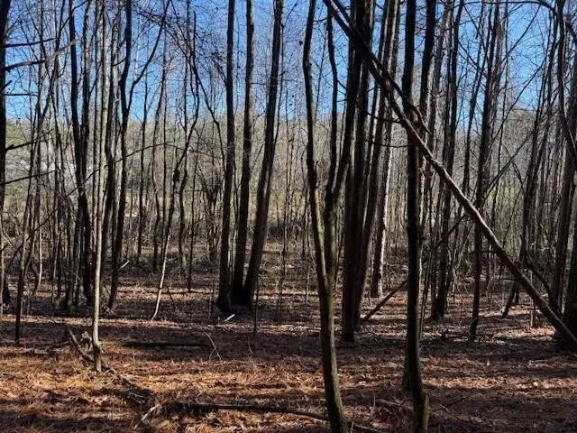 7 Hwy 11, Valley Head, AL 35989 - #3