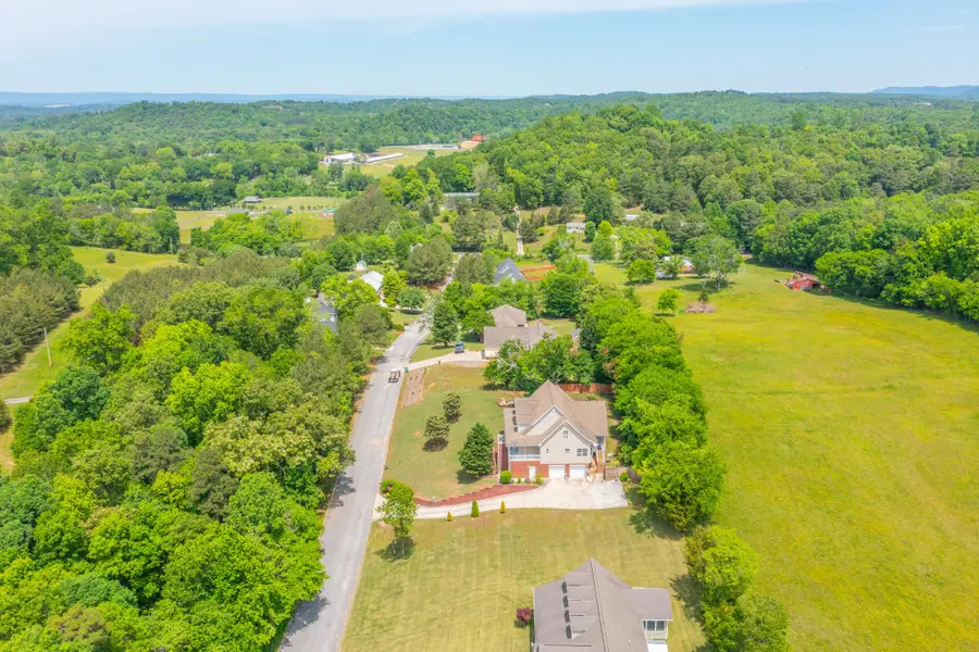 199 Falcons View Drive, Ringgold, GA 30736 - #2
