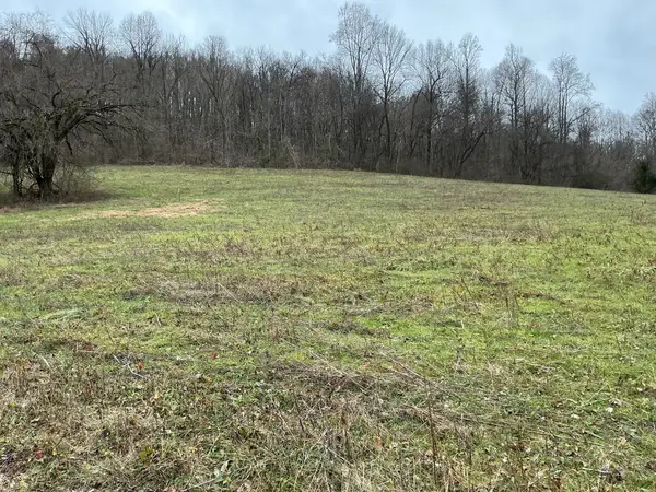 0 Lazy Branch Rd, Normandy, TN 37360