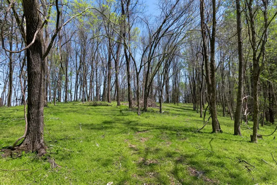 2819A Yell Rd, Lewisburg, TN 37091 - Image #3