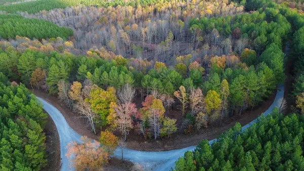 0 Sassafras Stand Ridge Rd, Linden, TN 37096